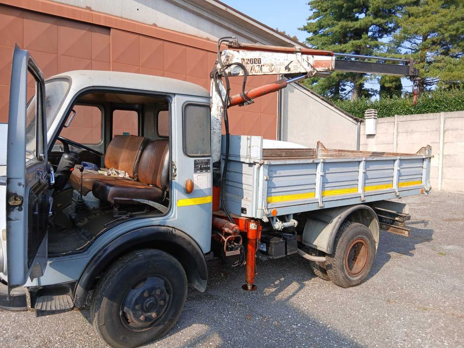 Vând Leoncin 35 c
