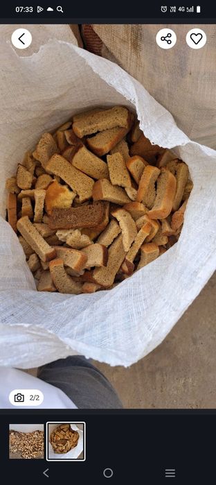 Котган нон хар куни 50 кг лик копда