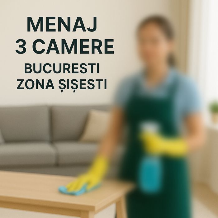 Caut Menajera apartament - Bucuresti- zona Sisesti