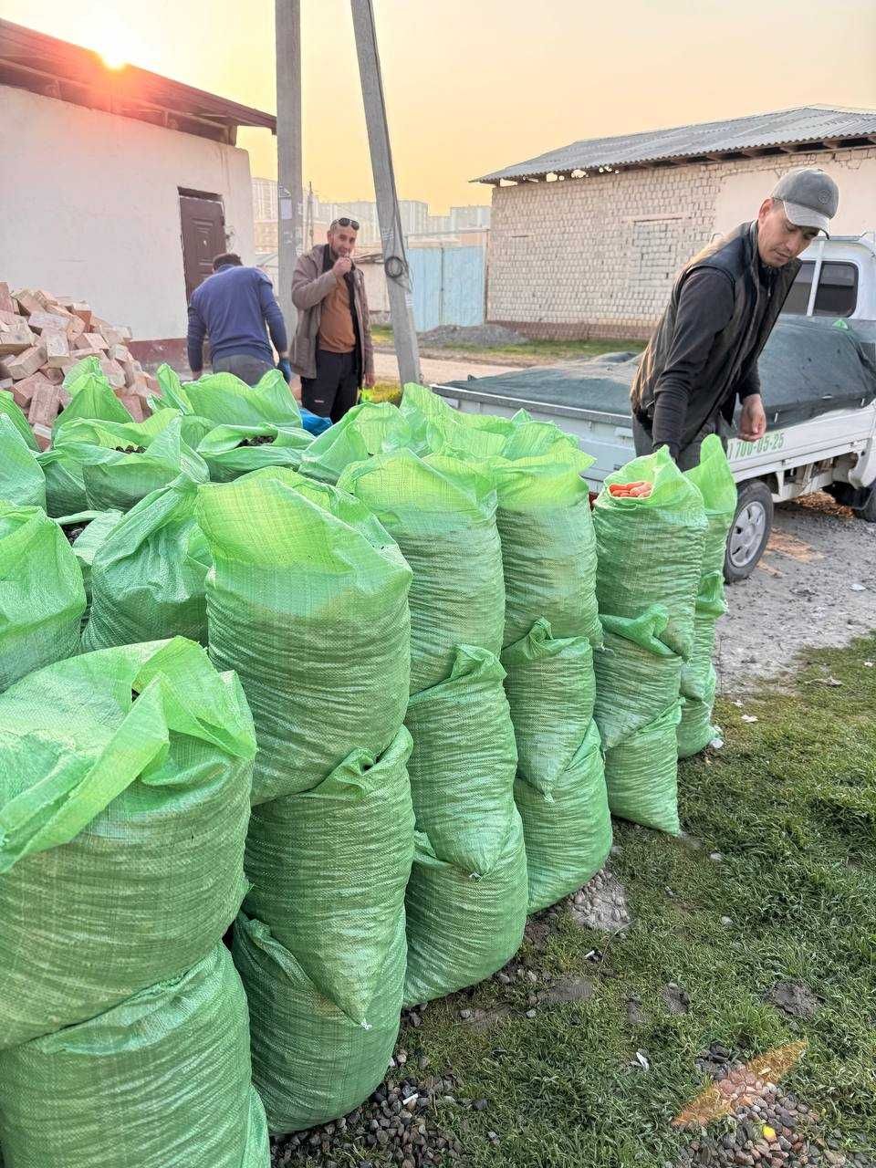 Klenes Sheben Qum Tuproq qopda Песок Кленец Шебен Глена В мешках