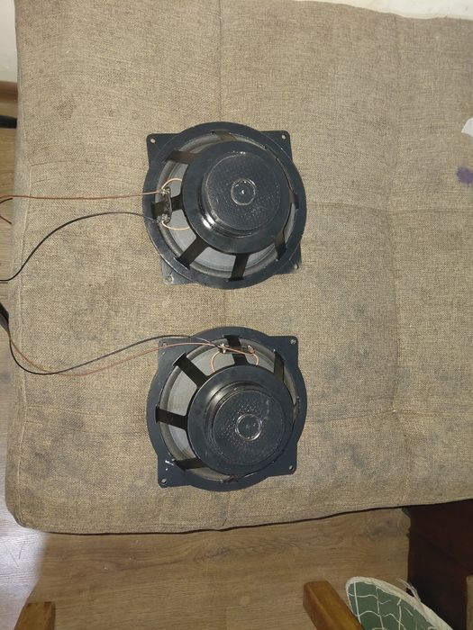 Продам калонка 10 гдш 20см