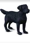 Pui labrador negru