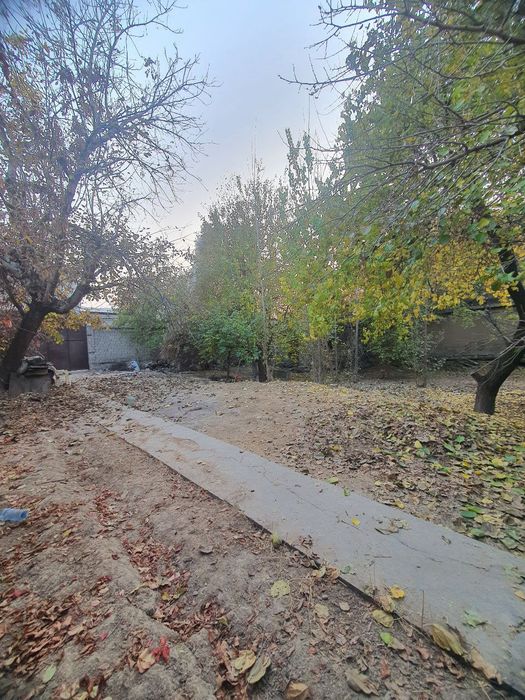 Yer Sotiladi, Nazarbek