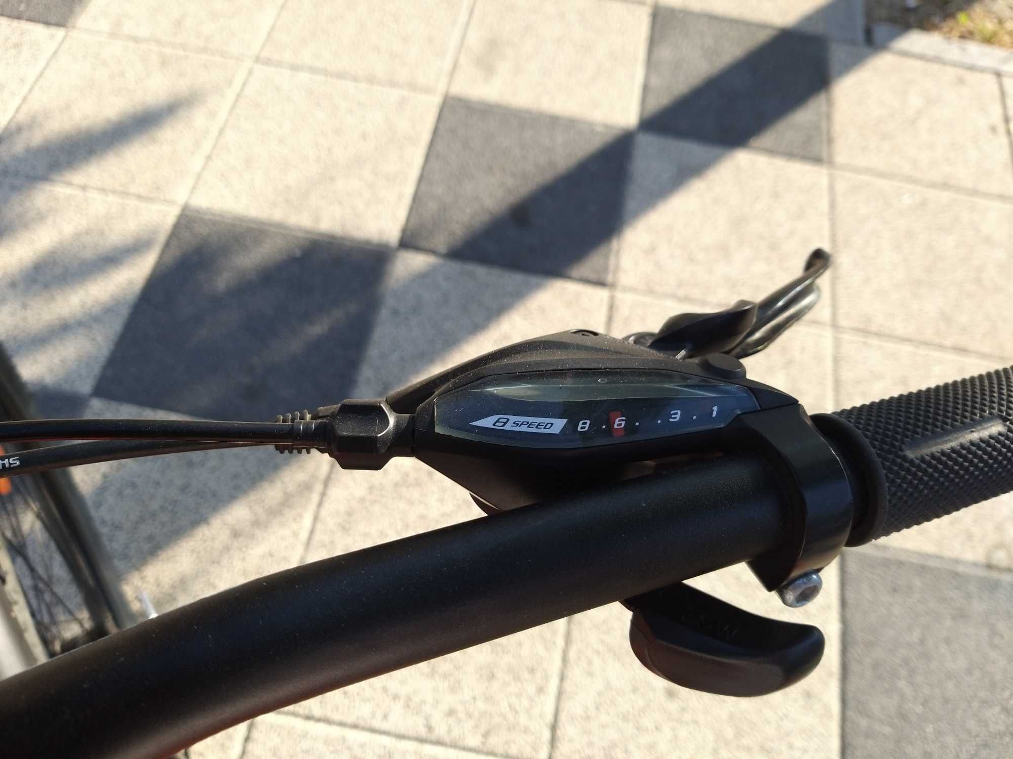 Bicicleta focus comcept