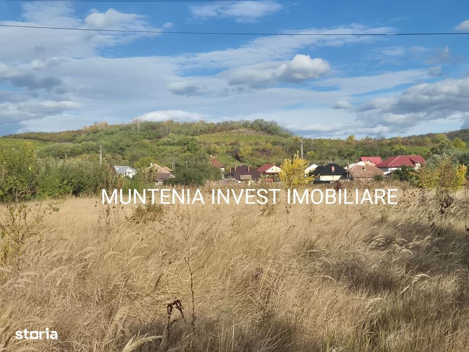 De vanzare teren intravilan 2543 mp. Călinești