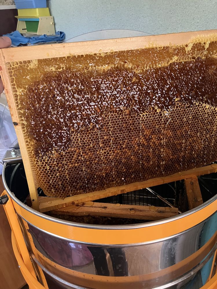 Miere de albine si polen proaspat de primavara din stupina proprie
