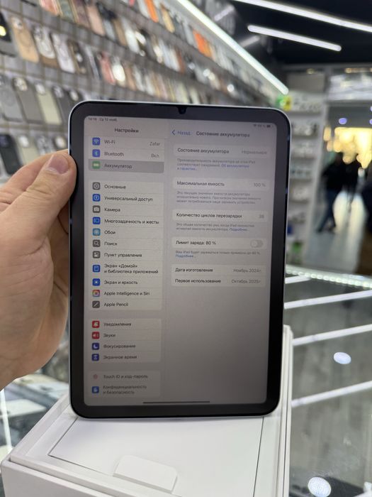 ipad mini A17pro 256GB%100  38