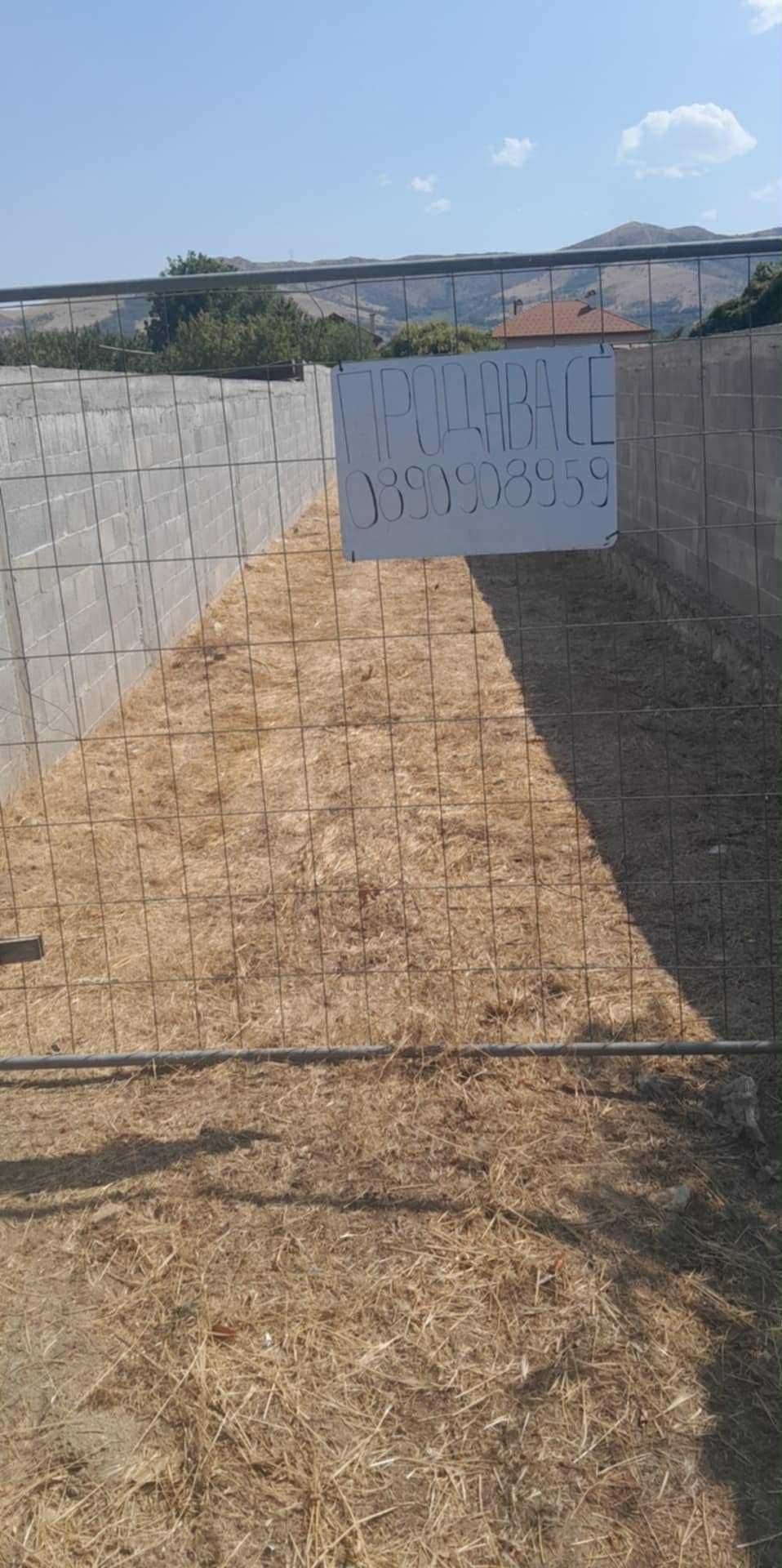 Продава се пърцел
