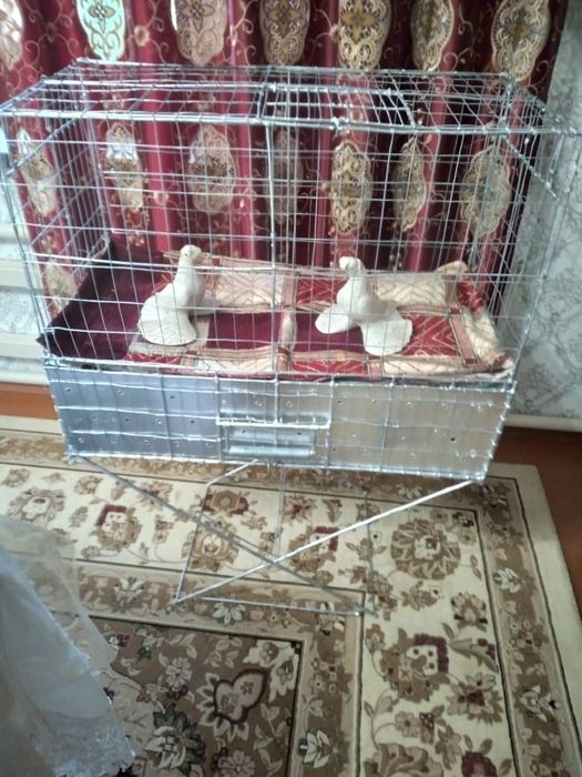 Сетка чемодан 3×1