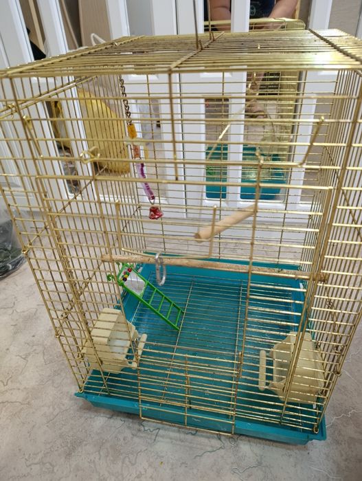 Клетка для попугаев