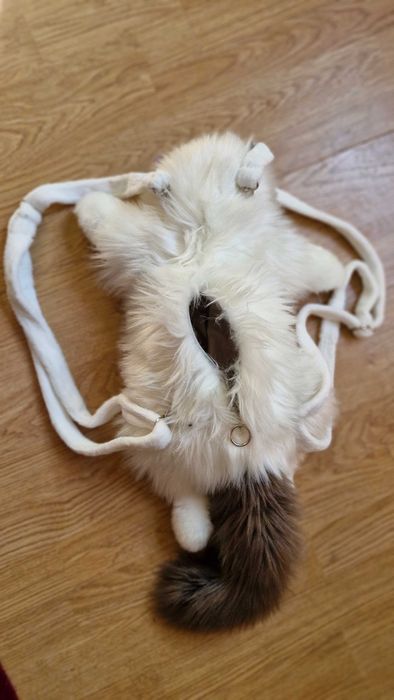 Rucsac "PISICUTA" , Ideal pentru copii