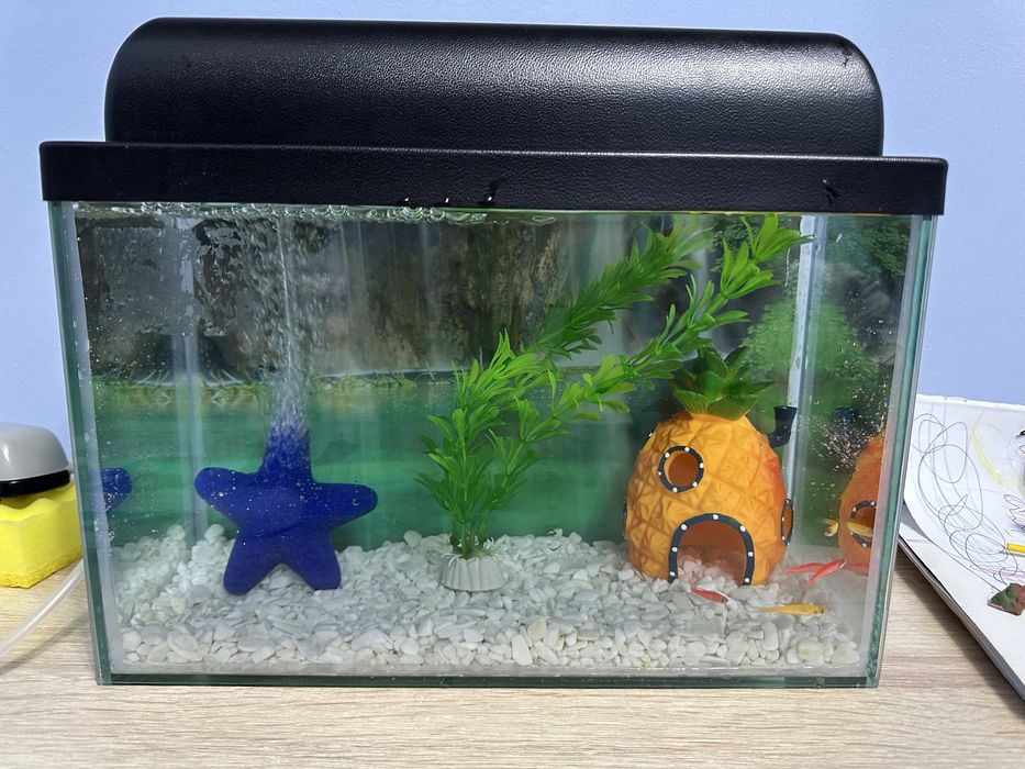 продам аквариум на 10 литров