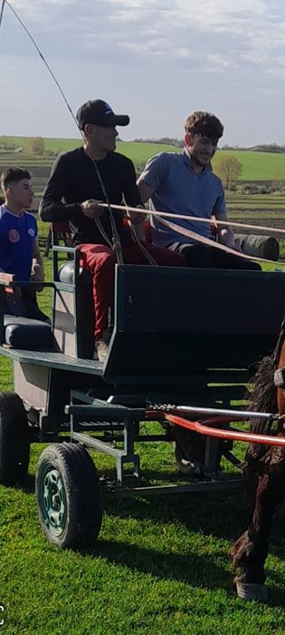 Trăsură maraton  6 locuri