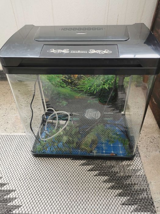 Аквариум за рибки