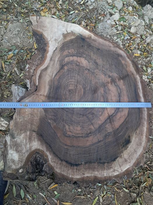 Rondele nuc. PRET SUPER BUN