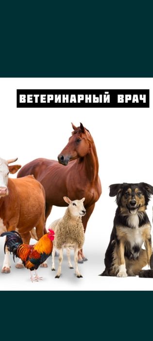 Ветеринарный услуги