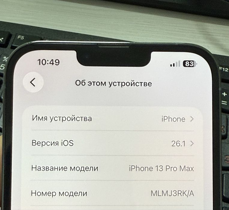 Iphone 13 pro max 256gb