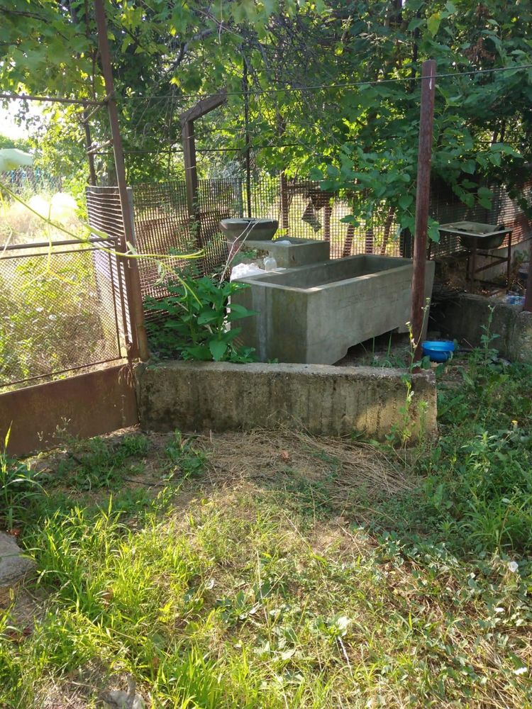 Vanzare casa la tara