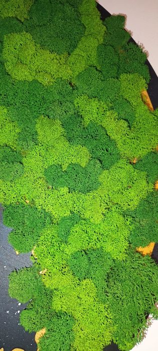 Vand tablou copacul vietii cu licheni și ceas central.