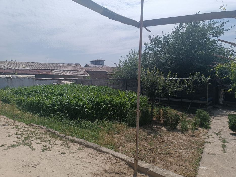 Mirzo Ulugbek tumanidan 3 km