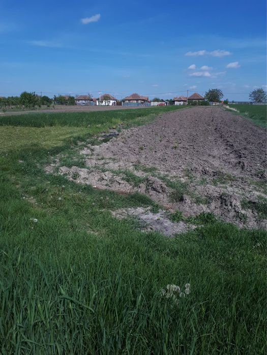 De vanzare casa la tara