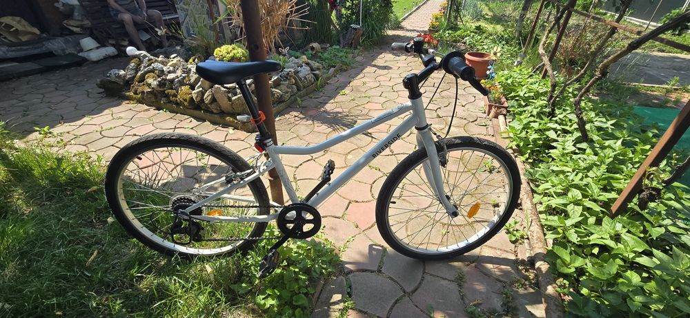 Bicicleta Riverside