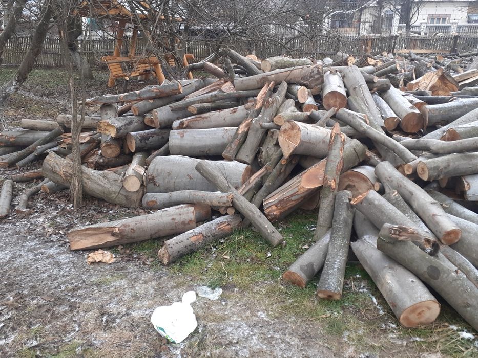 Vând lemne de foc uscate