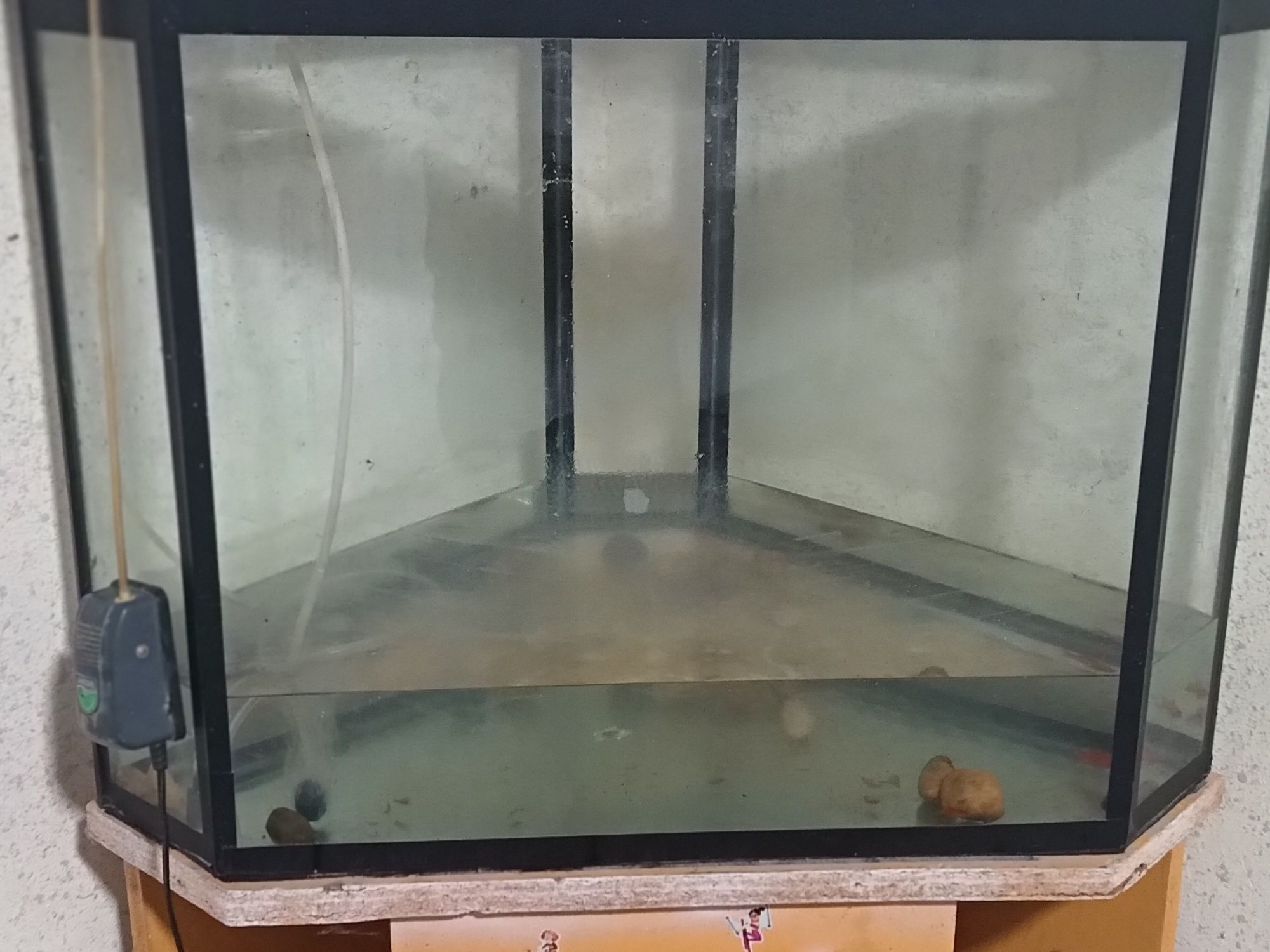 Akvarium sotiladi baliqlari  bilan