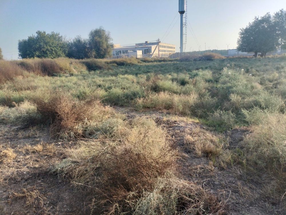 Жерсатылады тезарада
