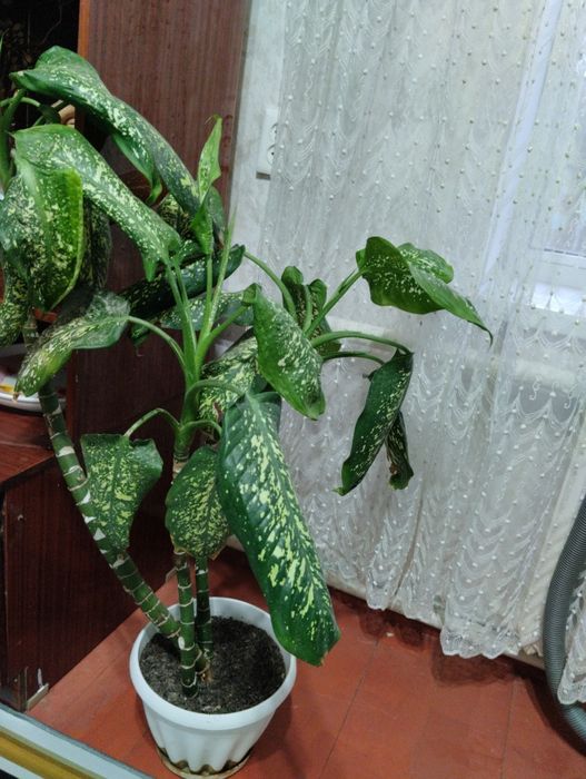 10000т звонить на