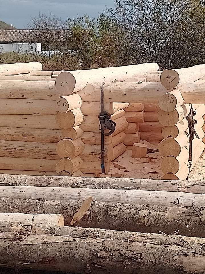 Case din lemn rotund