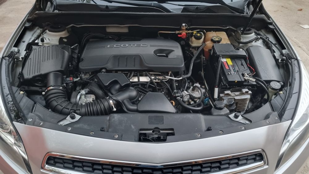 Малибу 1 позиция 2 луюки бор.