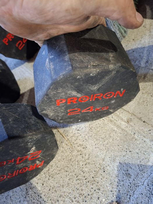 Gantere 24 kg profesionale