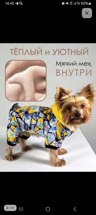 Продам курточку для собачки маленьких пород