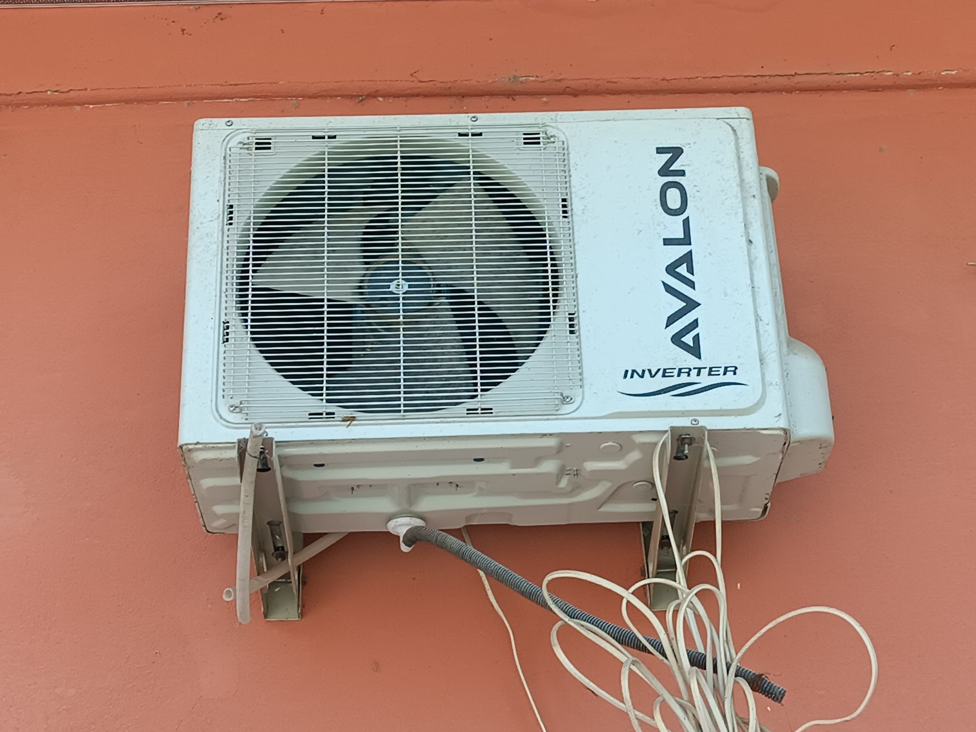 Avalon 22 tali bir kun ishlagan