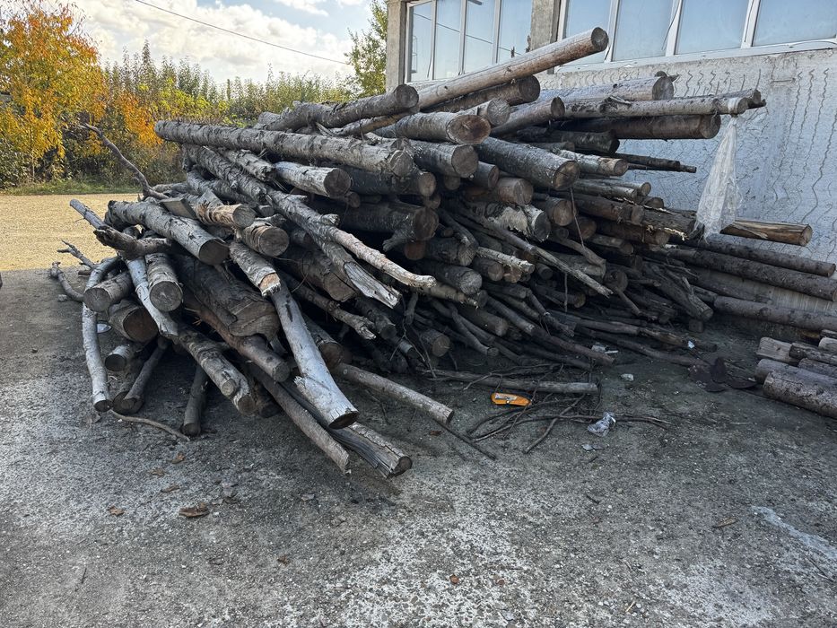 Lemn diverse esente 11 metri cubi -Botosani-usor negociabil