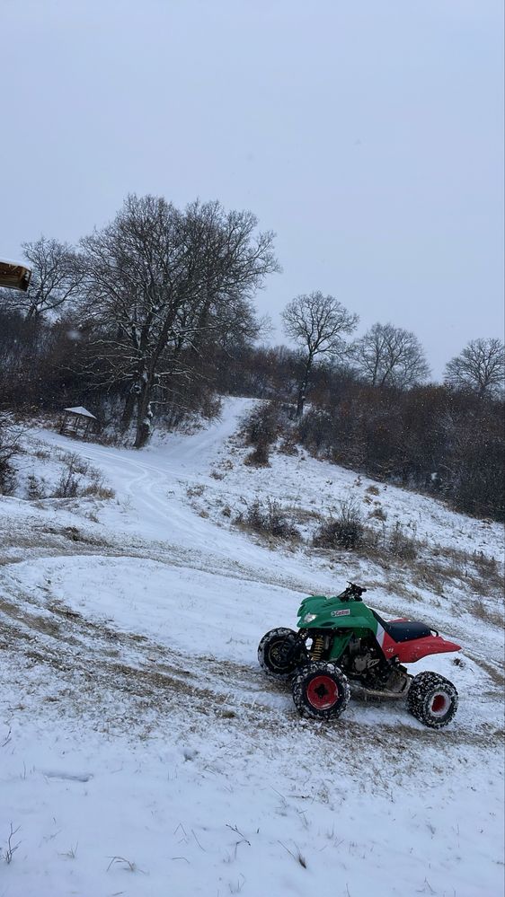 Атв Dinli QUADZILLA 450 кубика Castrol Edition