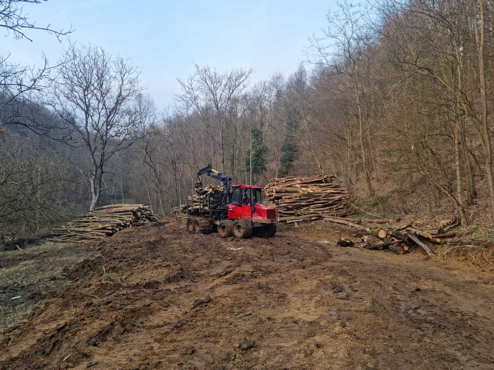 Servicii de exploatarea forestiera - Forwarder, skidder, taf