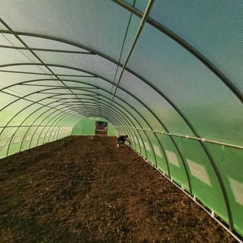 6x8 m Solar profesionale de grădină, sera sere solarii legume - NOI!