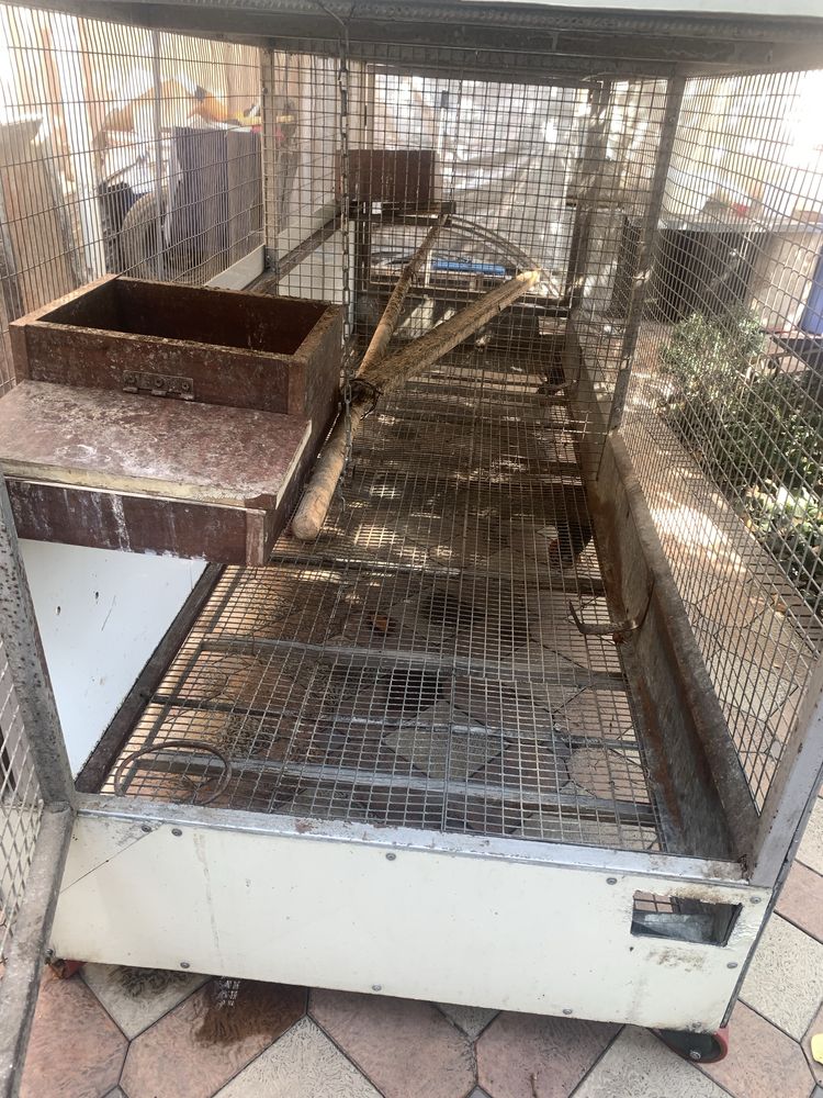 Qafas in  Tovuq Qush Parandalar boqish uchun tayyor