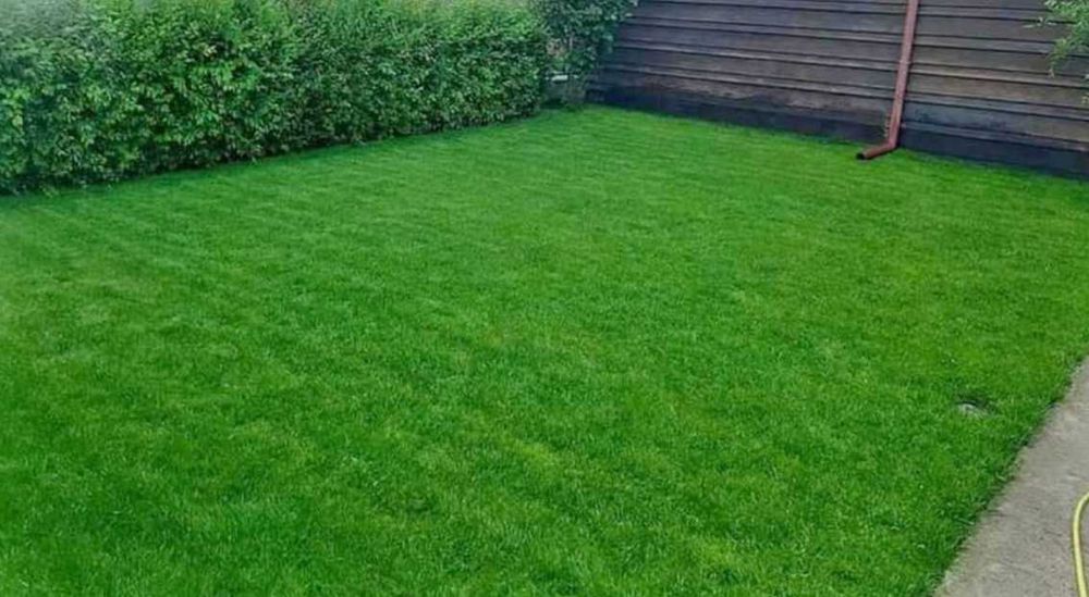 Gazon Rulou Sisteme de Irigare