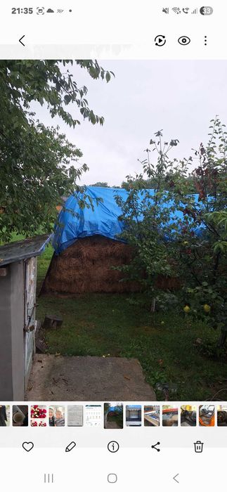 Baloti lucerna 240 de bucati la 20 lei bucata