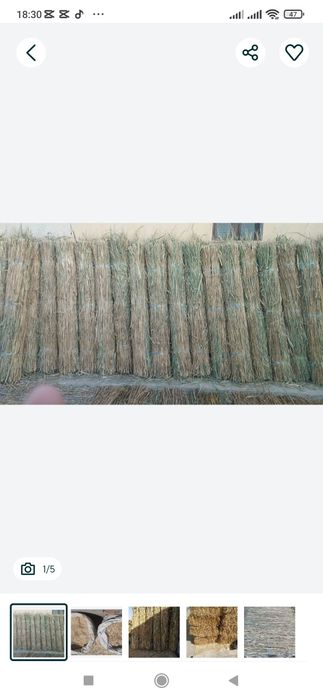 Somon Qamish Mayda somon press Dastavka