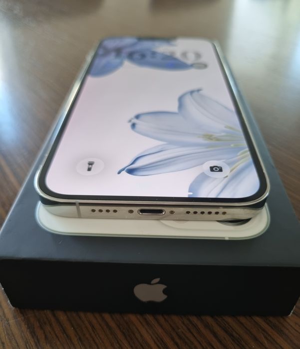 Iphone 13 Pro Max 128 Gb, Silver