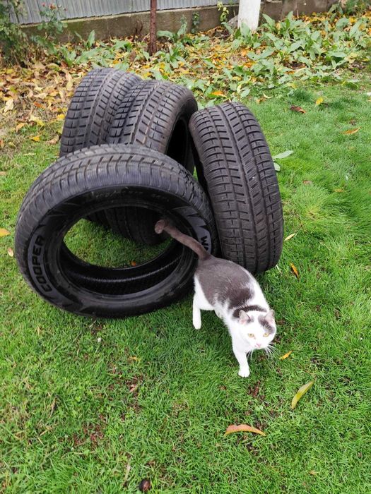 Anvelope iarnă Cooper WM-SA2+ 195/65 R15 88T 7.25 mm stare foarte bună