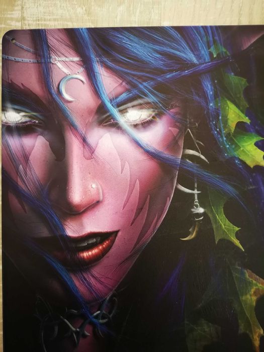 Матова Метална картина на Warcraft