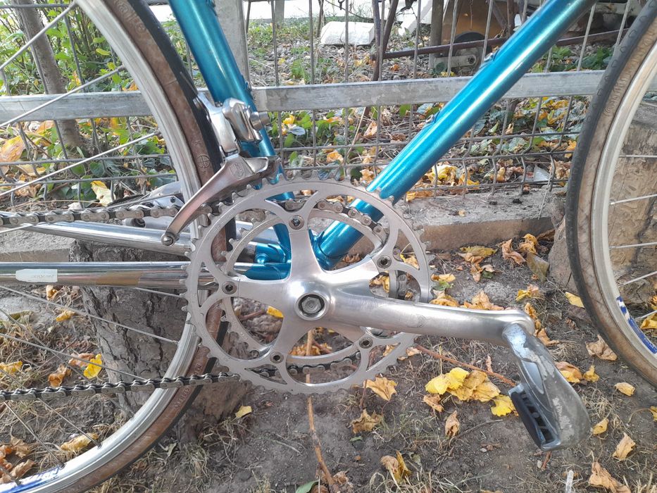 Cursiera clasica Hans Lutz campagnolo