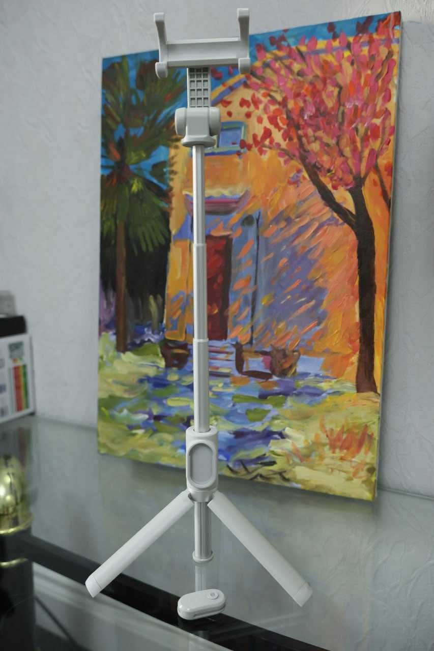 Монопод-штатив Xiaomi Mi Tripod Selfie Stick (Серый)