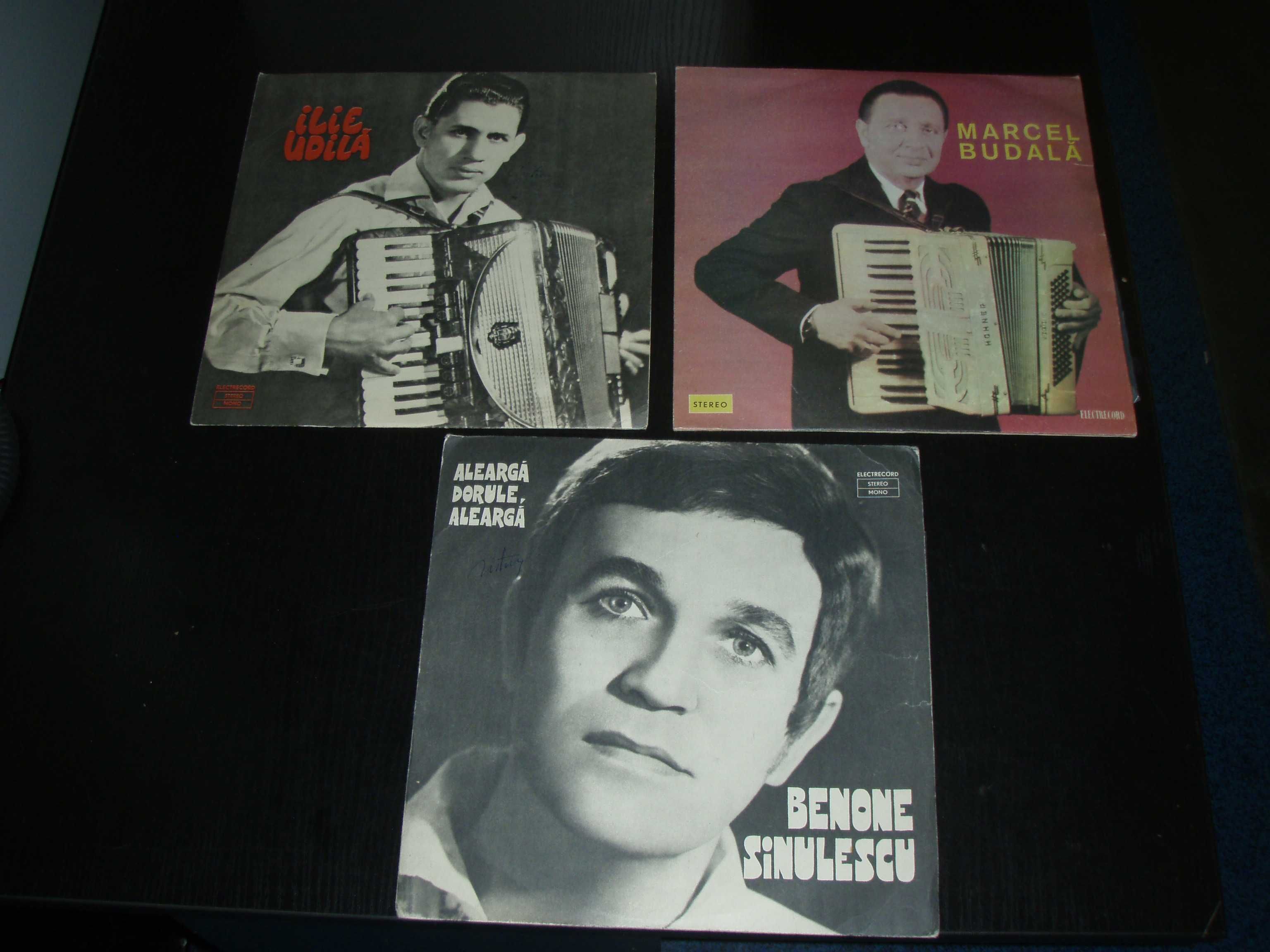 Discuri vinil LP, diferite genuri si artisti autohtoni, set unu