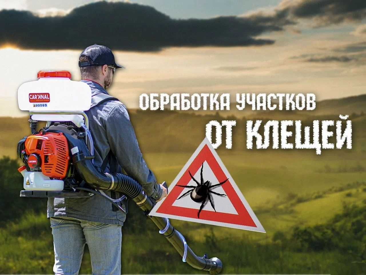 Уничтожение мышей‼️крыс , таракан ,клоп ,блох ,дезинфекция клещей жук
